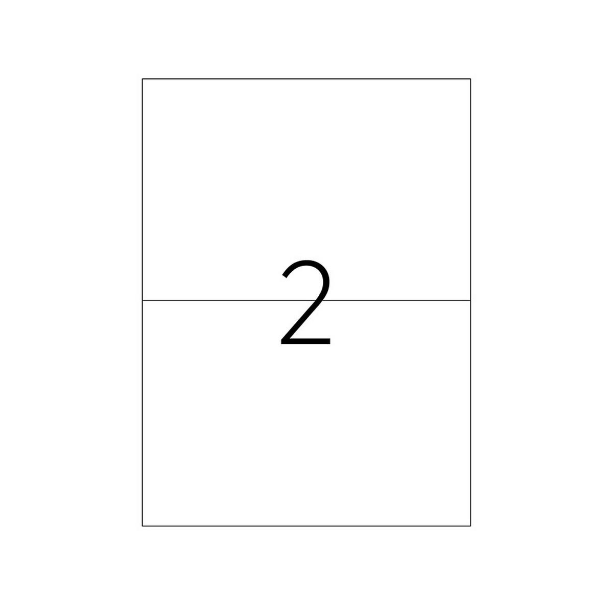 210 X 148.5 mm Lazer Etiket TKS-2102