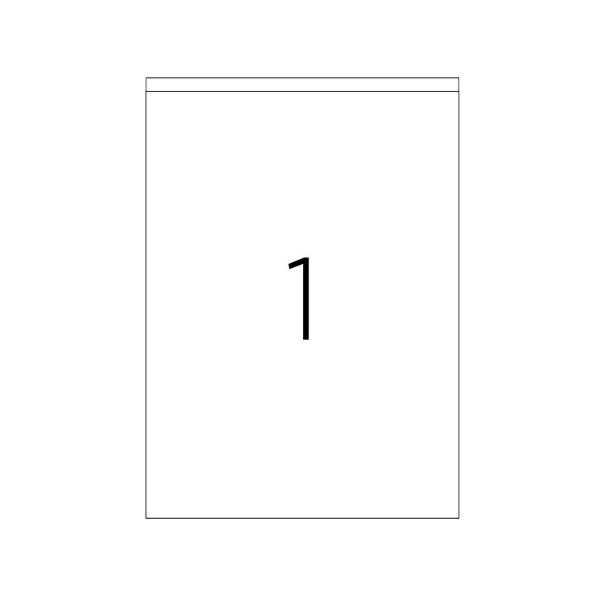 210 X 294.86 mm Lazer Etiket TKS-2294